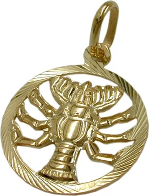 Produktbild von Anhänger Kettenanhänger Sternzeichen Krebs aus 375 Gold Gelbgold Goldanhänger