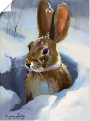 Produktbild von ARTland Poster Schneehase Größe: 30x40 cm