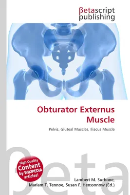 Produktbild von Obturator Externus Muscle