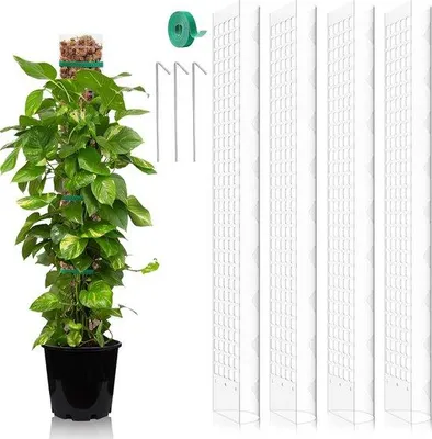 Immagine prodotto di Bastoncini in plastica per muschio, 61 cm, set da 4 pezzi, per piante da appartamento bianche