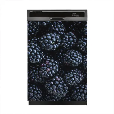 Produktbild von Magnete Dekorative 60x80 cm Küche Magnetmatte Spülmaschine - Brombeere Obst