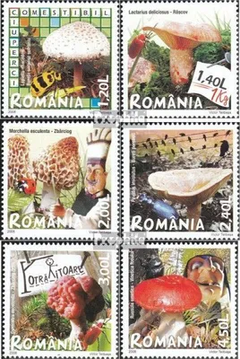 Produktbild von Briefmarken Rumänien 2008 Mi 6262-6267 (kompl.Ausg.) postfrisch Pilze