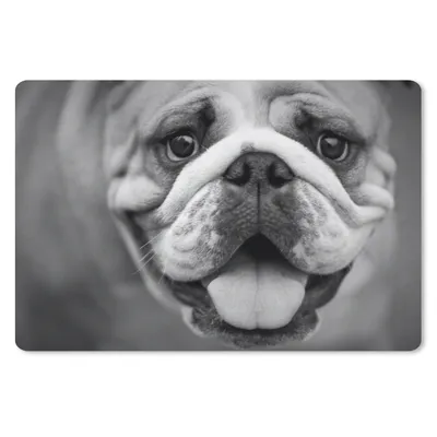 Produktbild von MuchoWow® Mauspad Mousepad Tierprofil Bulldogge in schwarz und weiß 27x18 cm - Mousepads - Maus Mat - Pad - Mausunterlage - Büroartikel - Desk Matten