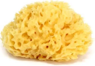 Obrázek produktu pro OK BABY Houba na mytí 14