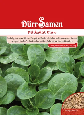 Produktbild von Dürr-Samen - Feldsalat Elan (Vorteilspackung) - Saatgut - 1262