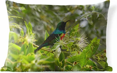 Produktbild von MuchoWow® Outdoor Kissen - Vogel zwischen den Blättern im Dschungel - 60x40 cm - Wetterfest - Lounge Kissen - Zierkissen - Kissen für Innenräume