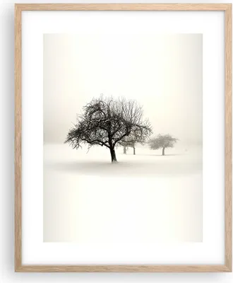 Produktbild von Gerahmtes Poster - Rahmen in heller Eiche - Bäume Schnee Nebel - 40x50 cm - Wand Bild - Wanddeko - Wandbilder - Wandposter - Bilderrahmen - Bilder - Kunstdruck - Wandbild - P2NPA40x50-4136