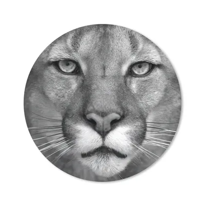 Produktbild von MuchoWow® Mauspad Mousepad Panther - Wildlife - Schwarz - Weiß 40x40 cm - Mousepads - Maus Mat - Pad - Mausunterlage - Schreibtisch Accessoires
