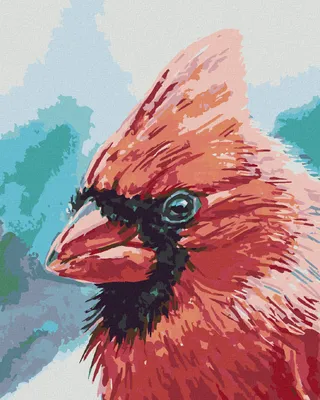 Produktbild von Zuty - Malen nach Zahlen - KARDINALVOGEL, 40x50 cm, ohne Keilrahmen
