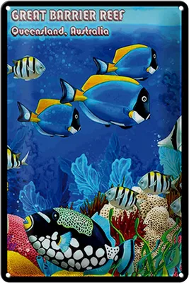 Produktbild von Blechschild Spruch 20x30cm great barrier reef Queensland