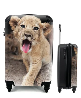 Produktbild von MuchoWow® Koffer Handgepäck Trolley Rollkoffer Kleine Reisekoffer mit 4 Rollen - Jungtier - Löwen - Niedlich - Cabin Size < 55x40x23 cm & 55x40x20 cm - Fotokoffer - Kabinenkoffer - Boardgepäck - Reise-Box - Reisekoffer - Reisegepäck - Koffer mit Bild - Trolley für Kinder
