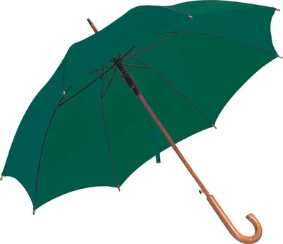 Produktbild von Automatik-Regenschirm / Farbe: dunkelgrün