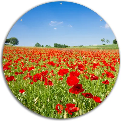 Produktbild von Wallario rundes Outdoor-Poster für Garten oder Balkon, Motiv Mohnblumenfeld- rote Blumen unter blauem Himmel, 60 cm Durchmesser
