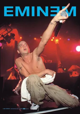 Produktbild von Eminem - Live - Posterflaggen Fahne - Größe 75x110 cm