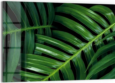 Produktbild von DEQORI Glasbild Echtglas 90x60 cm 'Grüne Blattadern' Wandbild Bild modern Deko