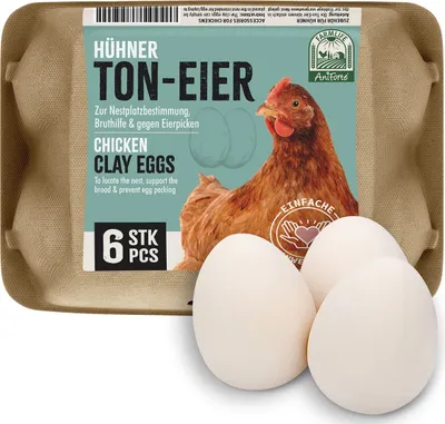 Produktbild von AniForte Toneier für Hühner 6 Stück – Naturgetreue Nesteier, Bruteier, Gipseier, Legeeier zur Bruthilfe, künstliche Hühnereier, Nestplatzbestimmung