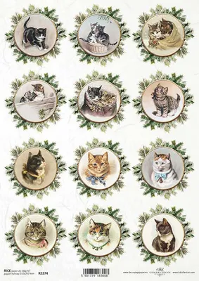 Immagine prodotto di ITD carta di riso decoupage tecnica artigianale tovagliolo di carta-R2274 gatti