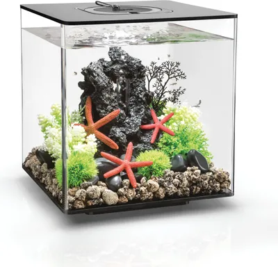 Obrázek produktu pro Akvárium biOrb CUBE 30 MCR černá