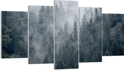 Produktbild von Bild auf Leinwand - Leinwandbild - Wald Baum Natur - 160x85cm - Wand Bild - Wanddeko - Wandbilder - Leinwanddruck - Bilder - Kunstdruck - Wanddekoration - Leinwand bilder - Wandkunst - EA160x85-4074