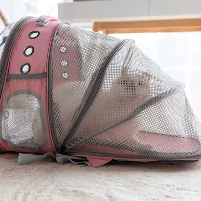 Obrázek produktu pro Peti-to-Travel přepravní batoh pro psy a kočky Pink