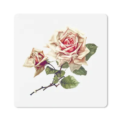 Produktbild von MuchoWow® Mauspad Mousepad Vintage - Rosen - Blumen 20x20 cm - Mousepads - Maus Mat - Pad - Mausunterlage - Desk Mat - Bureauartikeln