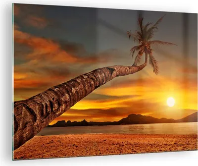 Produktbild von Bilder auf glas - Palme Landschaft Sonne - 70x50cm - Glasbilder - Wandbilder - Kunstdruck - zum Aufhängen bereit - Wanddekoration aus Glas - Glas Bilder - Wandbild auf Glas - Einteilig - GAA70x50-0162