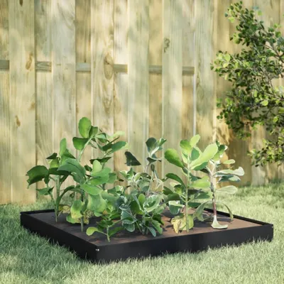 Immagine prodotto di Maison Exclusive - Aiuola rialzata nera 100x100x18,5 cm in acciaio