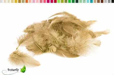 Produktbild von Bastelfedern 5-10cm, ca. 80-100 Stück, Farbauswahl:sand / beige / natur 835