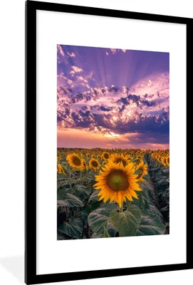 Produktbild von MuchoWow® Gerahmtes Poster Blumen - Himmel - Lila - Sonnenuntergang 60x90 cm - Poster mit Schwarzem Bilderrahmen Wandposter Rahmen Foto Bilder - Dekoration - Wandposter Wohnzimmer - Hochwertig