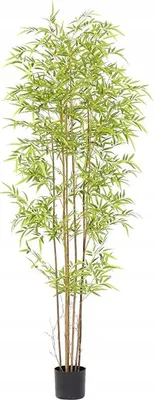 Image de ARTIFICIAL BAMBUS XXL PLANT IN REALISTIC POND 180cm pour le HOME OFFICE