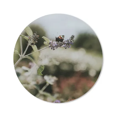 Produktbild von MuchoWow® Mauspad Mousepad Tagpfauenauge Schmetterling auf Lavendel 40x40 cm - Mousepads - Maus Mat - Pad - Mausunterlage - Schreibtisch Accessoires