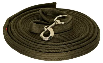 Produktbild von Longierleine 7,8 m lang, 2,5 cm breit mit großer Handschlaufe und drehbarem Karabiner