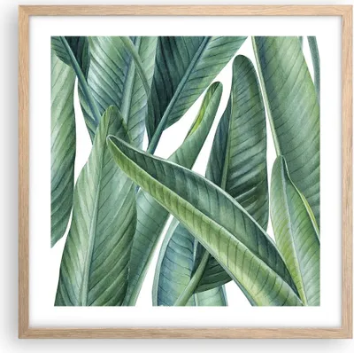 Produktbild von Gerahmtes Poster - Rahmen in heller Eiche - Exotisch Blätter Grün - 50x50 cm - Wand Bild - Wanddeko - Wandbilder - Wandposter - Bilderrahmen - Bilder - Kunstdruck - Wandbild - P2NAC50x50-4258