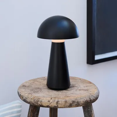Produktbild von Sirius Home 38500, Leichte Dekorationsfigur, Schwarz, Ambiente, Universal, 1 Glühbirne(n), LED