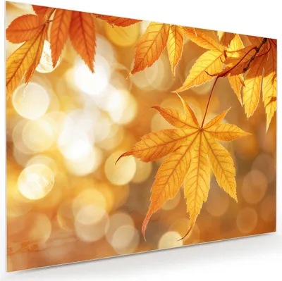 Produktbild von Glasbild 120x90cm in XXL für Wohnzimmer, Schlafzimmer Motiv Herbstlich Glitzernd