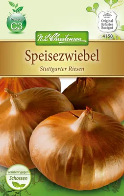 Artikelbild 1 von 'Speisezwiebel Stuttgarter Riesen' aus der Kategorie Zwiebelsamen