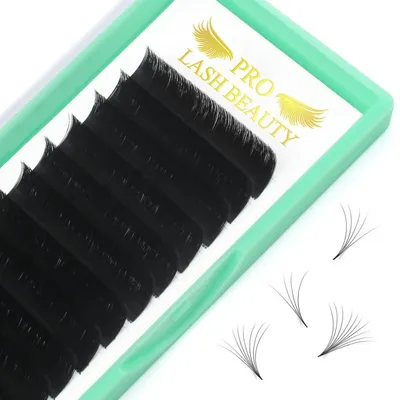 Produktbild von Selbstfächernde Easy Fan Lashes Wimpernverlängerung DD-0.07, 13mm