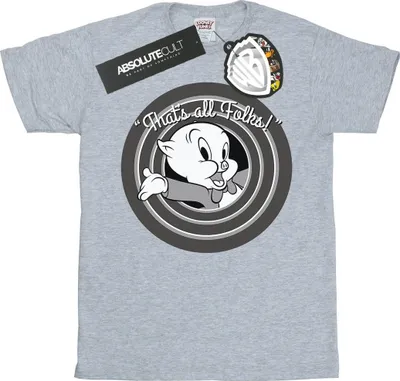 Produktbild von Looney Tunes - "That´s All Folks" T-Shirt für Herren BI1502 (M) (Grau)