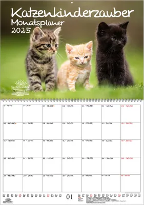 Produktbild von Katzenkinderzauber Planer DIN A2 Kalender für 2025 Katzenkinder Katzenbabys - Seelenzauber