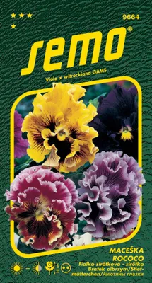Produktbild von Garten-Stiefmütterchen-Samen - Rokoko-Mischung 0,25g
