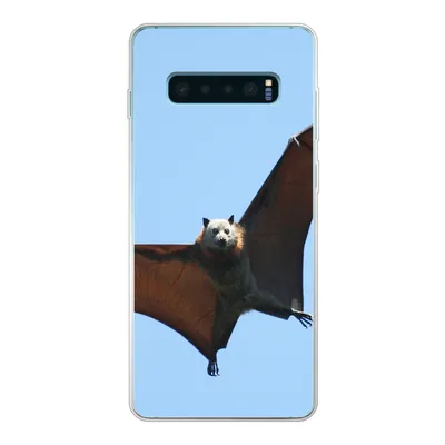 Produktbild von MuchoWow® Handyhülle Schutzhülle Hülle für Samsung Galaxy S10 Lite Fledermaus - Luft - Flügel Silikon Softcase Handy Hülle - Schutz