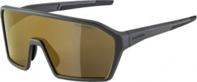 Produktbild von Alpina ALPINA RAM HM+ coffeegrey matt