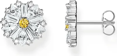 Image de Thomas Sabo Boucles d'oreilles H2169-051-4
