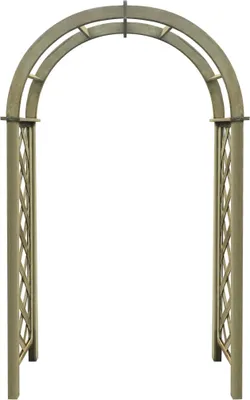 Image de vidaXL Arc de jardin vert pin imprégné