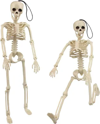 Imagen del producto de Dos esqueletos de Halloween con articulaciones móviles, de 40 cm, para decoración de Halloween