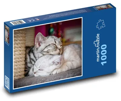Obrázek produktu pro martinpuzzle - Puzzle 1000 - Dvě spící kočičky