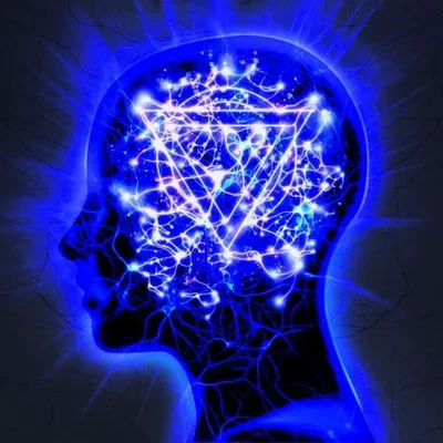 Obrázek produktu pro Enter Shikari: Enter Shikari: The Mindsweep - - (CD / T)
