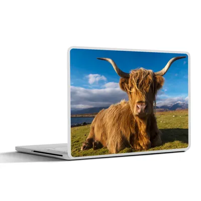 Produktbild von MuchoWow® Laptop Aufkleber Sticker Cover Schottische Highlander - Tiere - Gras 30x22 cm - Laptop-Sticker