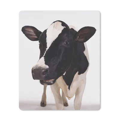 Produktbild von MuchoWow® Mauspad Mousepad Kuh - Weiß - Tiere - Schwarz 30x40 cm - Mousepads - Maus Mat - Pad - Mausunterlage - Mausmatten