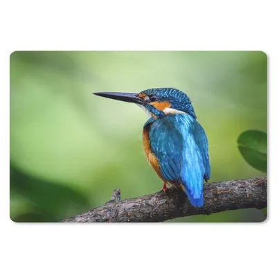 Produktbild von MuchoWow® Mauspad Mousepad Eisvogel - Zweig - Blau 27x18 cm - Mousepads - Maus Mat - Pad - Mausunterlage - Büroartikel - Desk Matten